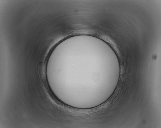 X0000097590012200802290759