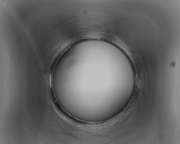 X0000097590013200802290759