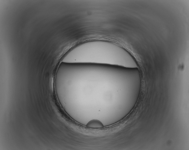 X0000097590014200802290759