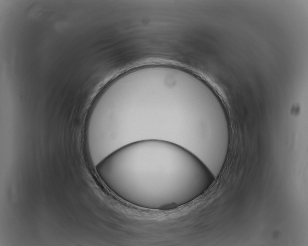 X0000097590015200802290759