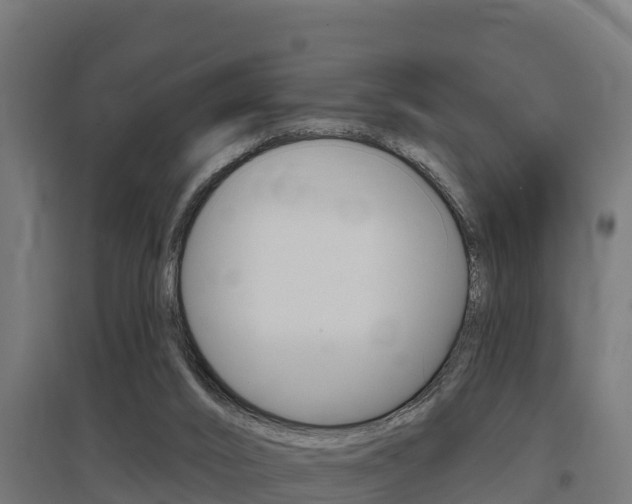 X0000097590016200802290759
