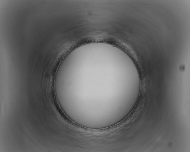 X0000097590018200802290759