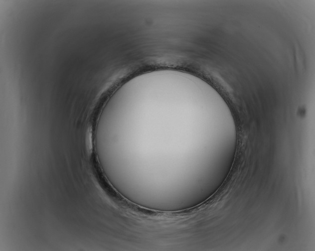 X0000097590020200802290759