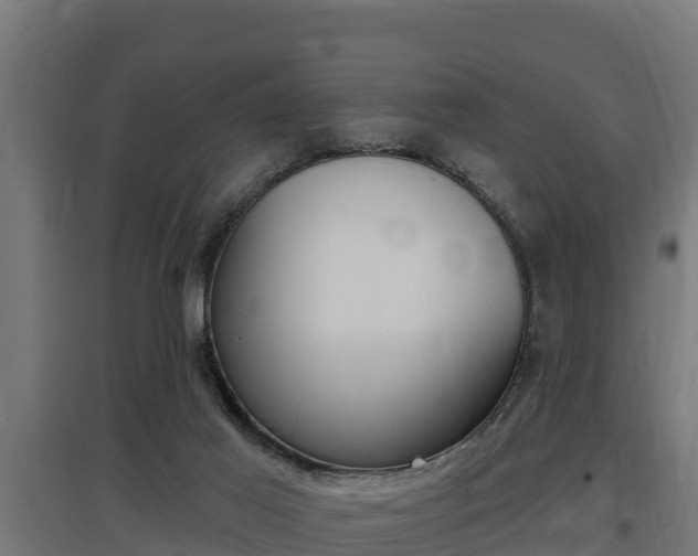X0000097590021200802290759