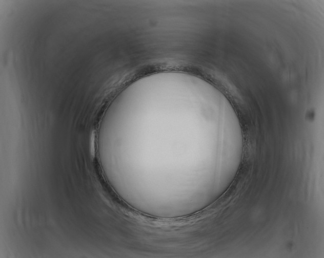 X0000097590022200802290759