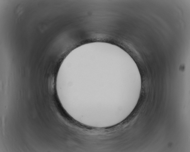 X0000097590024200802290759
