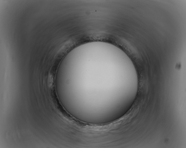 X0000097590025200802290759