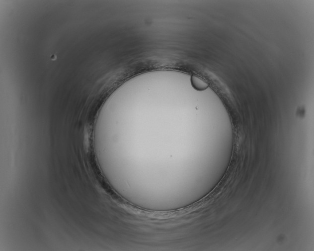 X0000097590026200802290759