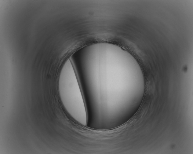 X0000097590027200802290759