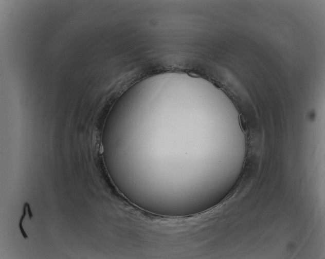 X0000097590029200802290759