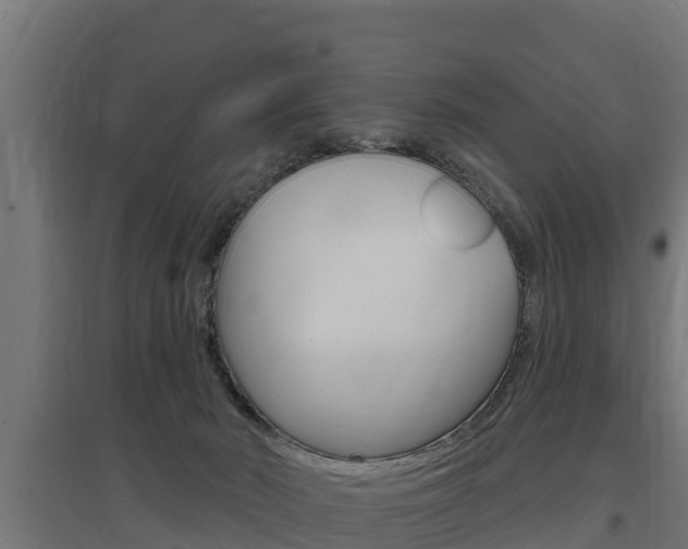 X0000097590030200802290759