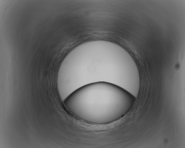 X0000097590031200802290759