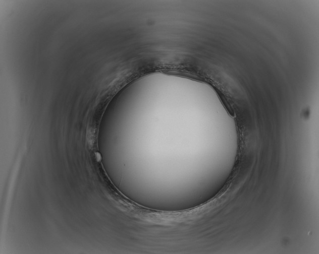 X0000097590033200802290758