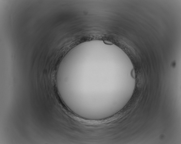 X0000097590034200802290758