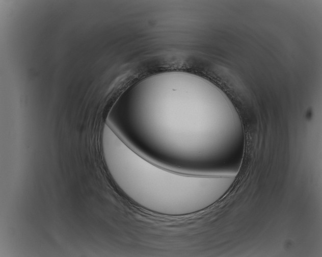 X0000097590035200802290758