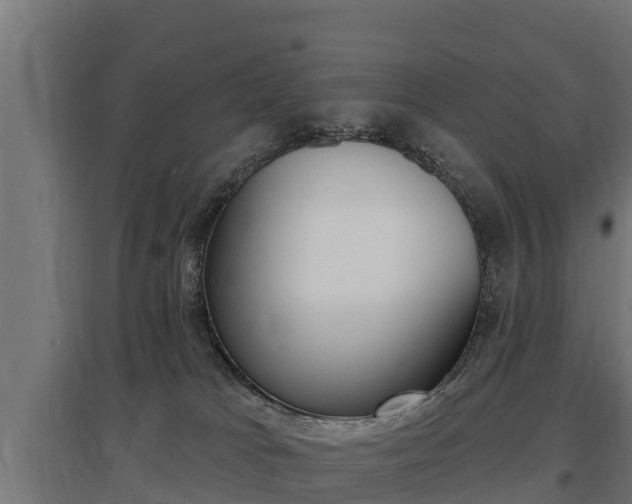 X0000097590037200802290758