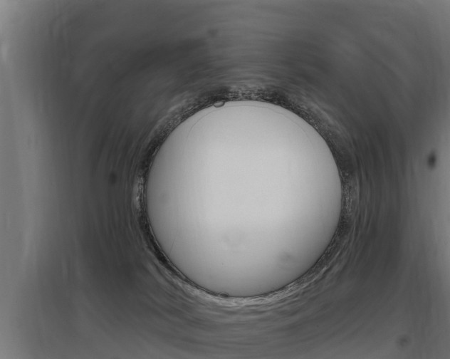 X0000097590038200802290758