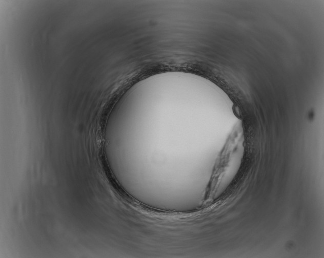 X0000097590040200802290758