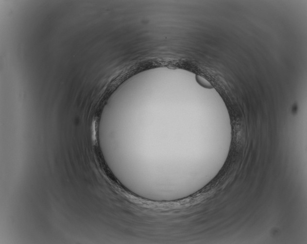 X0000097590042200802290758