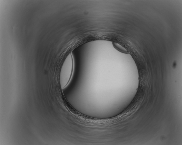 X0000097590044200802290758