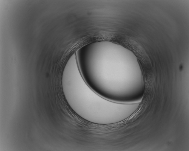 X0000097590045200802290758