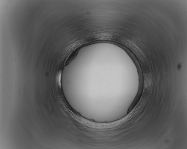 X0000097590047200802290758