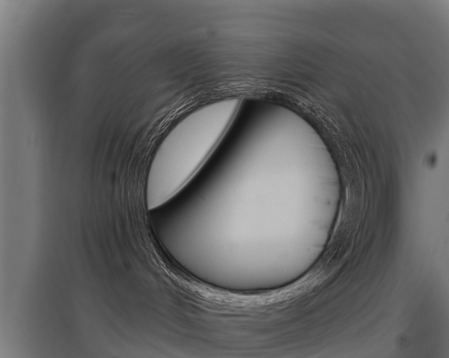 X0000097590048200802290758
