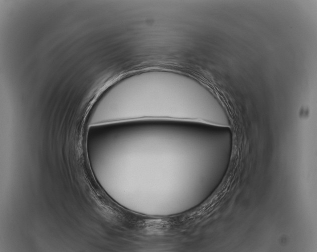 X0000097590050200802290758