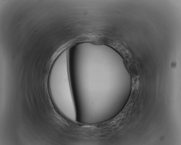 X0000097590051200802290758