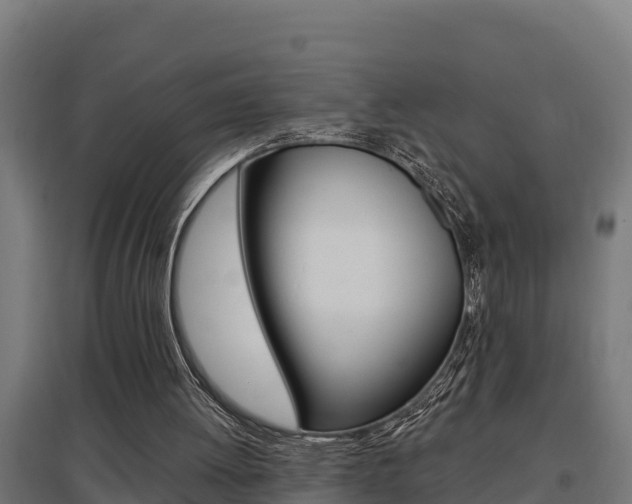 X0000097590052200802290758