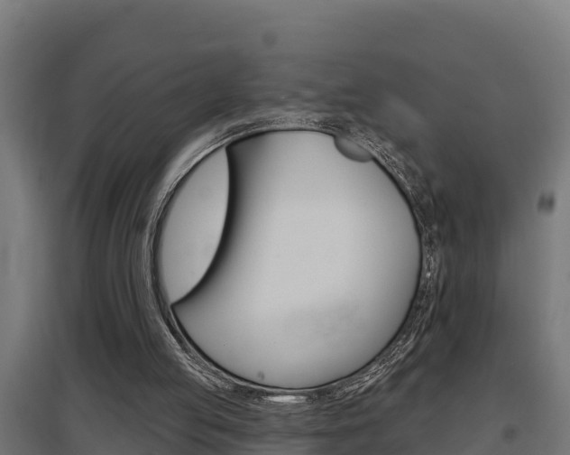 X0000097590053200802290758