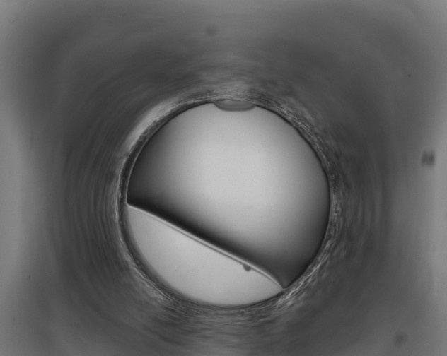 X0000097590054200802290758