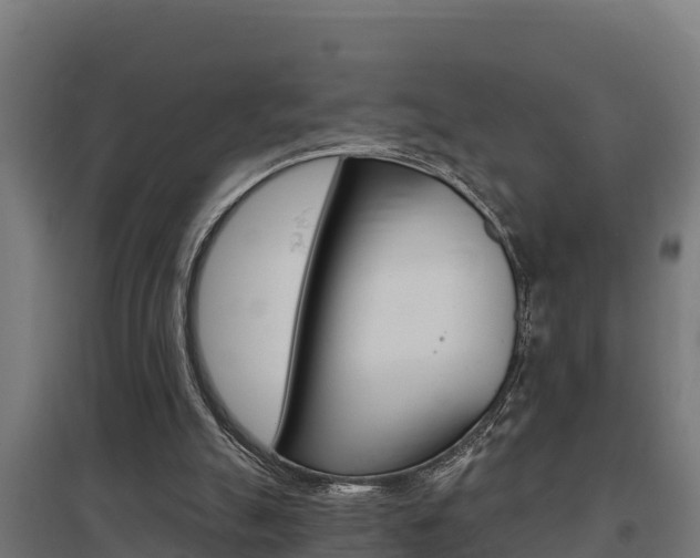 X0000097590055200802290758