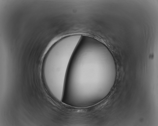 X0000097590056200802290758