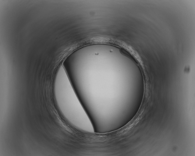 X0000097590057200802290758