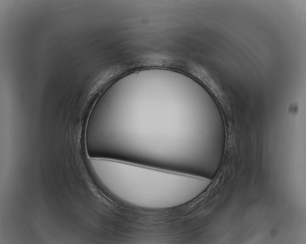 X0000097590058200802290758