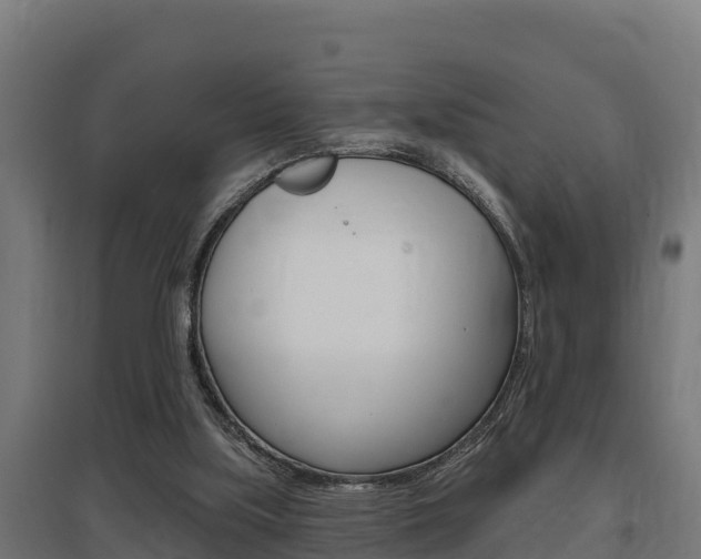 X0000097590059200802290758