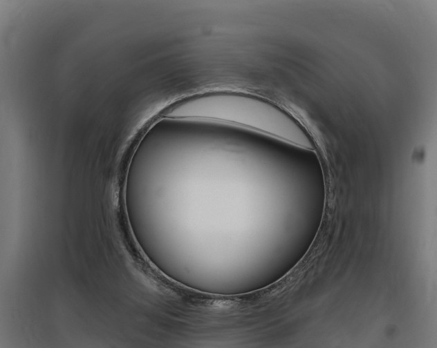 X0000097590060200802290758