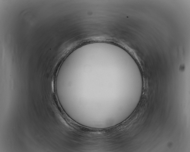 X0000097590061200802290758