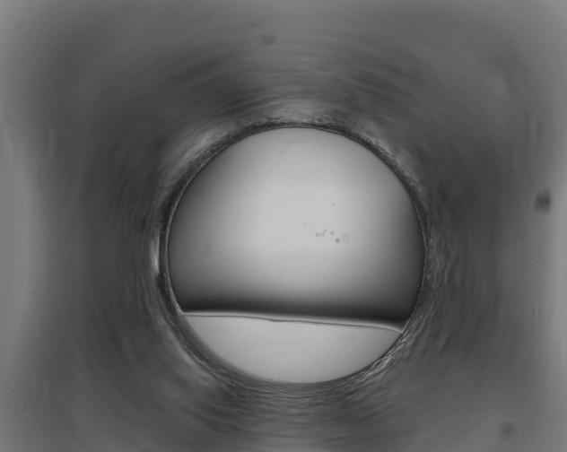X0000097590062200802290758