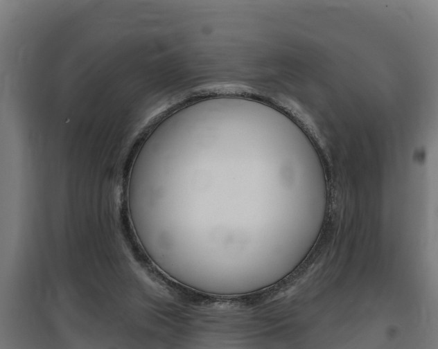 X0000097590063200802290758