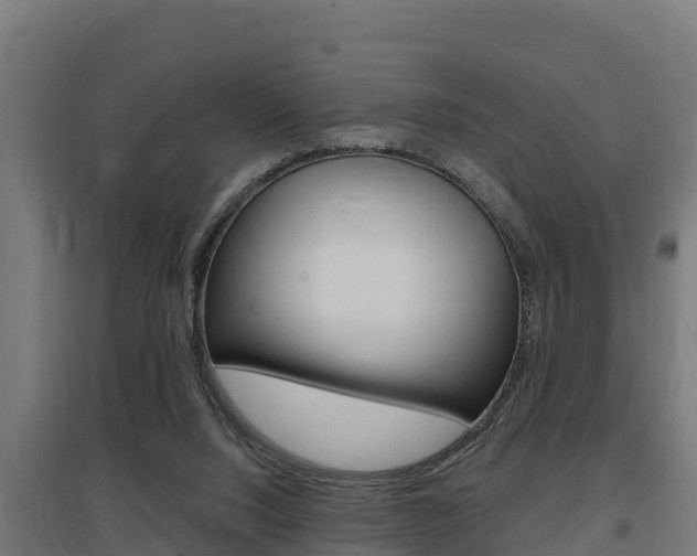 X0000097590064200802290758
