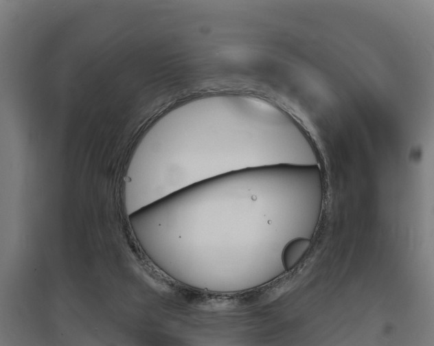 X0000097590065200802290758