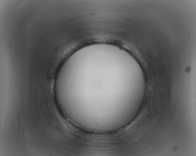 X0000097590066200802290758