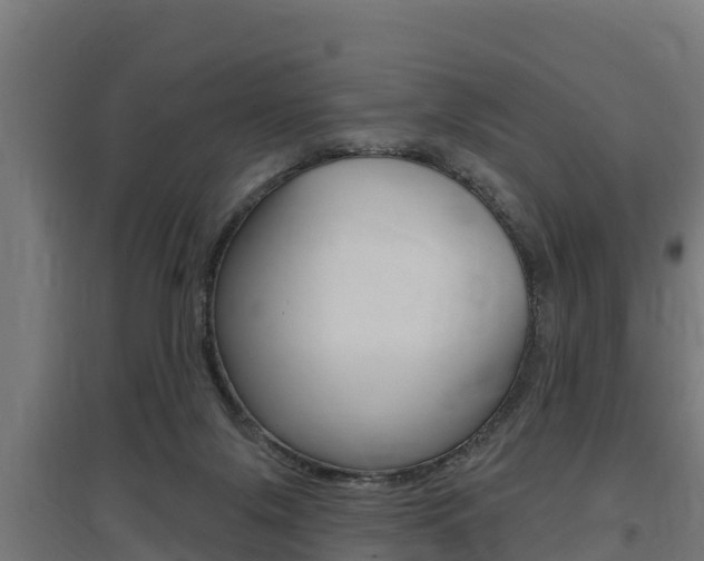 X0000097590071200802290758