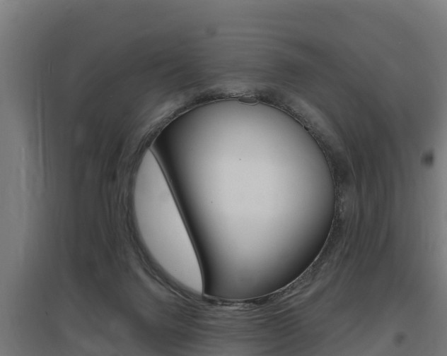 X0000097590072200802290758