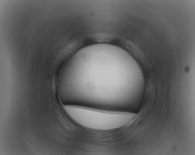 X0000097590074200802290758