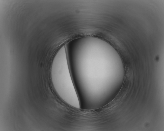 X0000097590076200802290758