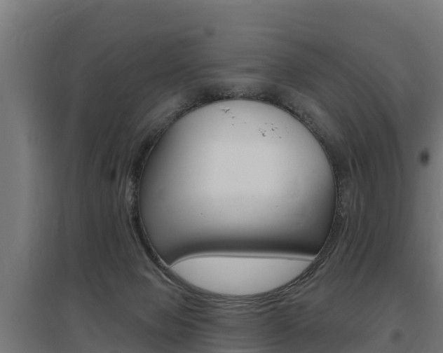 X0000097590077200802290758