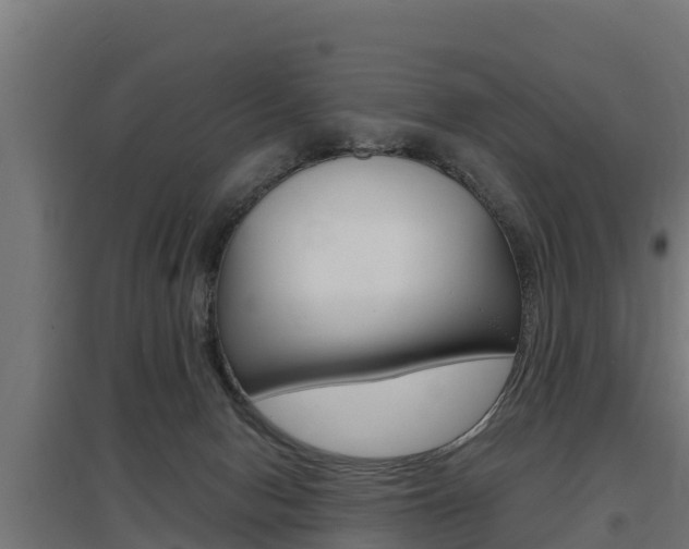 X0000097590078200802290758